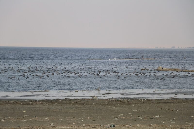 Lake Mouris: A Testament to the Glory of the Pharaohs - محمية قارون