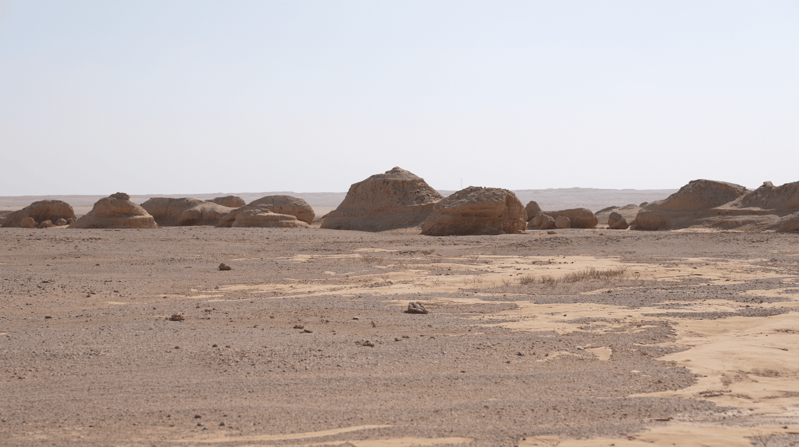 Qaroun Lake… A Food Treasure in the Heart of the Desert - محمية قارون